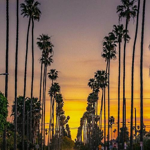 هومن نجفی هایدن و کوره ستاره باو راو